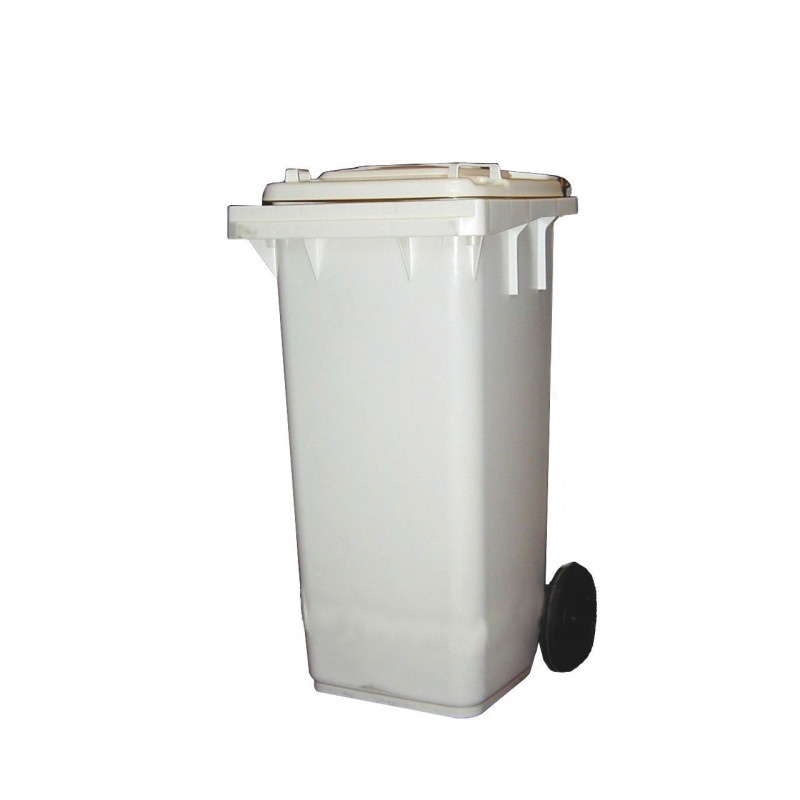 Poubelle Conteneur avec Roues 120 L - Combisteel